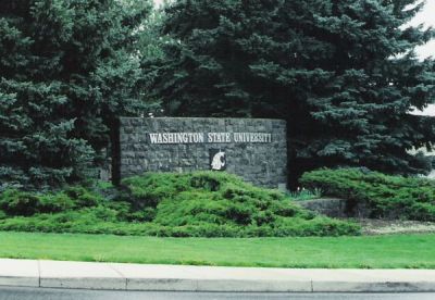 wsu.jpg